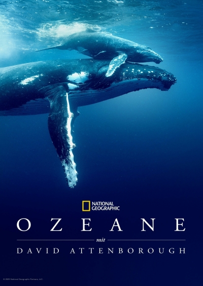 Filmplakat Ozean mit David Attenborough